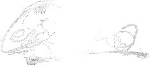 Charles Davidson signature