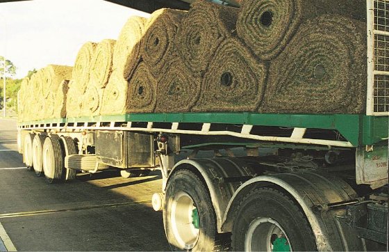 Side view of a trailer carrying unrestrained rolls of turf