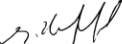Signature of Eugene Paul Holzapfel Delegate of the Civil Aviation Safety Authority