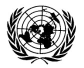 United Nations Emblem