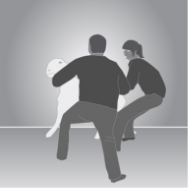 Lifting, lowering or carrying an object that cannot be positioned close to the body)