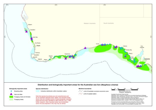 U:\Marine Division\Marine Biodiversity Policy Branch\Species Conservation Section\Recovery Planning\Pinnipeds\ASL Recovery Plan & Issues Paper 2011-12\Post TSSC51 ASL RP & IP\FINAL documents for designer\ASL_A4.jpg