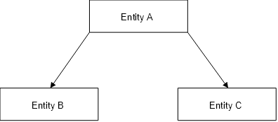 Entity with joint control