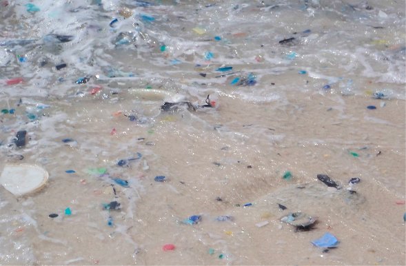 Fragments of plastic on the shoreline. Image copyright of CSIRO.

