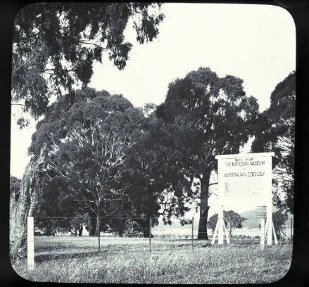 Early site of Institute of Anatomy, Acton. 