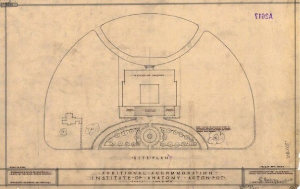 Proposed additions to the Institute of Anatomy, 1938