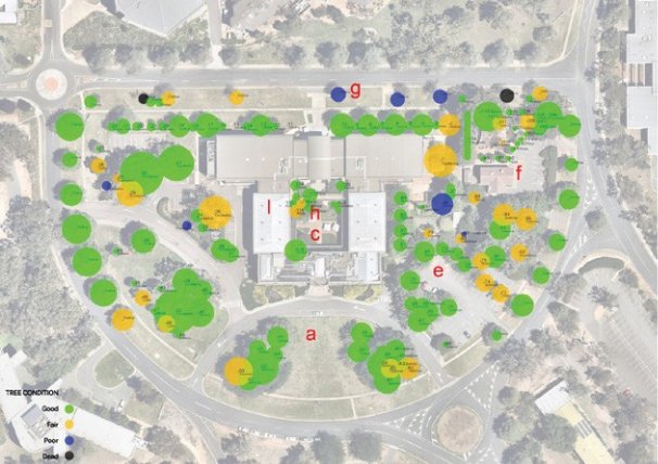Tree location and condition plan of the National Film and Sound Archive site