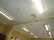 First floor ceiling in the National Film and Sound Archive