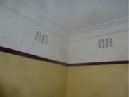 Photo of residence condition in the National Film and Sound Archive. Corner showing vents.
