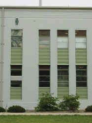 CSIRO Division of Entomology