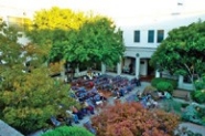 Outdoor film screening in the National Film and Sound Archive courtyard