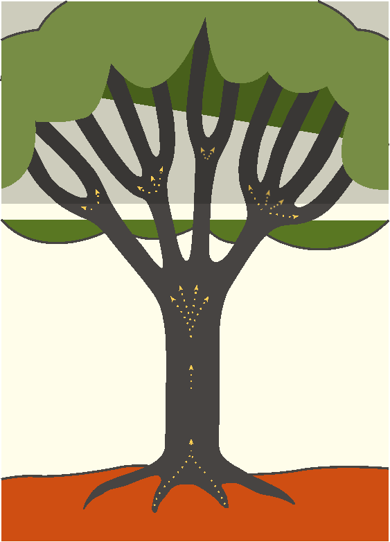 Figure 4, Visual representation of the layout of this management plan through the use of a tree flowchart