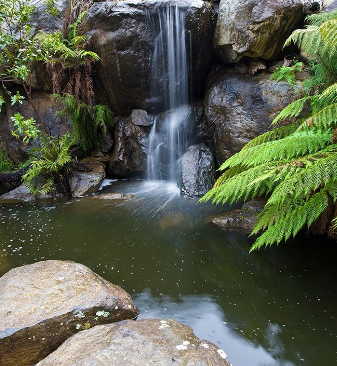 Rock Garden Waterfall. Photographer: Andrew Tatnell ©Australian National Botanic Gardens 2013