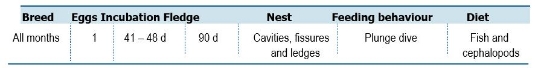 TABLE Species information for the Table Red-tailed Tropicbird (Phaethon rubricauda)

