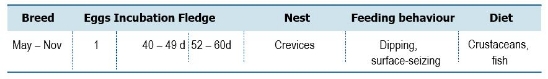 TABLE Species information for the Wilson's Storm-petrel 
(Oceanites oceanicus)
