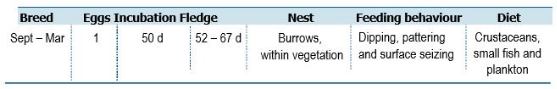 TABLE Species information for the White-faced Storm-petrel (Pelagodroma marina)

