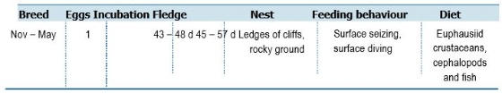 TABLE Species information for the Cape Petrel (Daption capense)
