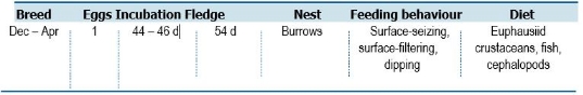TABLE Species information for the Antarctic Prion (Pachyptila desolata)

