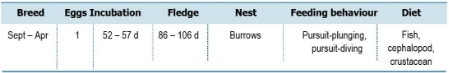 TABLE Species information for the Sooty Shearwater (Ardenna grisea)