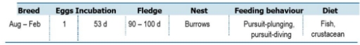 TABLE Species information for the Fluttering Shearwater (Puffinus gavia)


