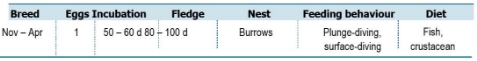 TABLE Species information for the Hutton's Shearwater (Puffinus huttoni)
