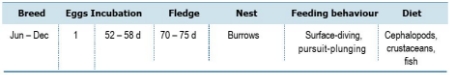 TABLE Species information for the Little Shearwater (Puffinus assimilis)


