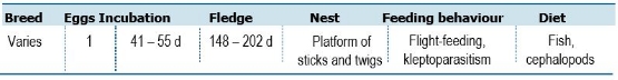 TABLE Species information for the Great Frigatebird


