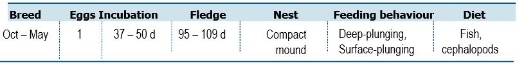 TABLE Species information for the Australasian Gannet (Morus serrator)
