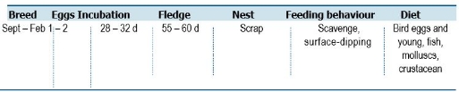 TABLE Species information for the Brown Skua (Catharacta antarctica)

