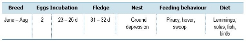TABLE Species information for the Pomarine Jaeger (Stercorarius pomarinus)