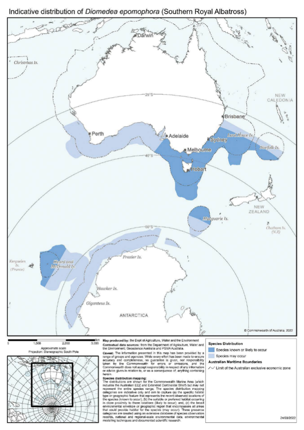 Map of modelled Australian distribution of Southern Royal Albatross (Diomedea epomophora).