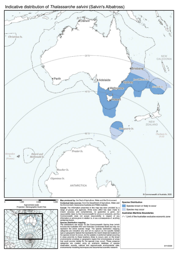 Map of modelled Australian distribution of Salvin's Albatross (Thalassarche salvini).