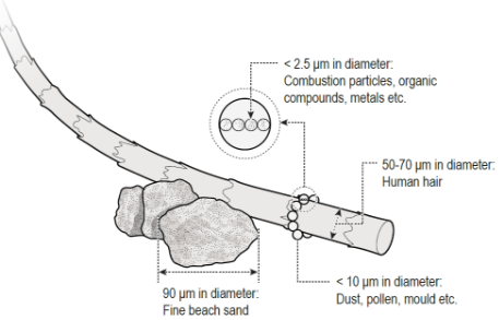 Various dust particle sizes shown relative to a human hair follicle measuring 50 -70 micrometres in diameter, including fine beach sand (90 micrometres in diameter), dust pollen and mould (<10 micrometres in diameter) and combustion particles, organic compounds and metals (2.5 micrometres  in diameter).