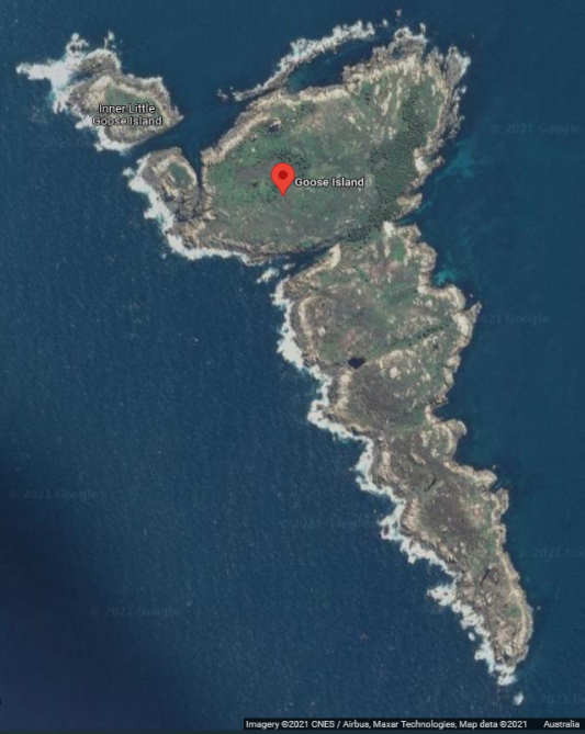Map showing satellite image of Goose Island. A red marker highlights the position of Goose Island Lighthouse.