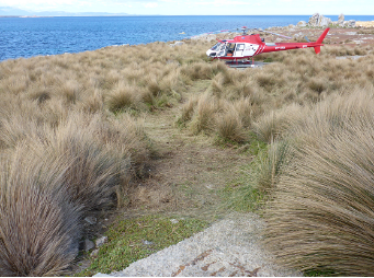 Photograph of red and white helicopter parked amongst grassy vegetation beside a blue ocean.
