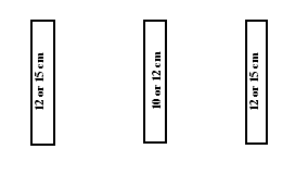 Image of secondary and local road lane markings including width dimensions for Italy, including a left edge lane marking, a centre line and a right edge lane marking.