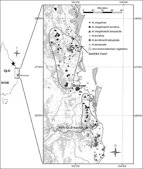 This figure shows a map of the natural distribution of Macadamia and natural hybrids in northern New South Wales and Queensland.