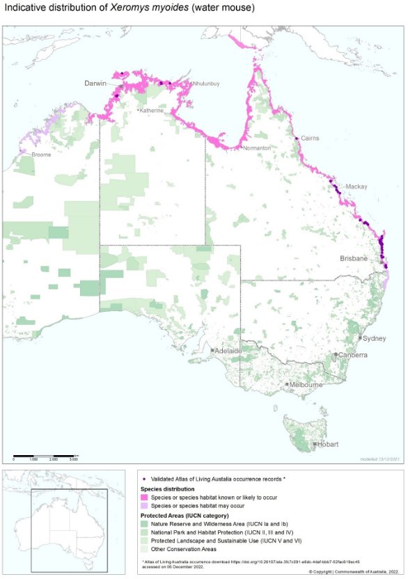 A map of Australia with pink shading along the entire coast from Wyndham, WA, to the Gold Coast, Qld, and including southern New Guinea, and pale purple shading extending to Broome in WA and northern New South Wales. There are purple points, representing water mouse records, scattered across the Top End of the Northern Territory, in Cairns, in the Mackay Region, and from Gladstone to the Gold Coast.