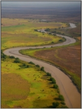A photo of a muddy tidal river with an occasional tree on the bank, bright grasses on the left and burnt or dry grasses on the right.