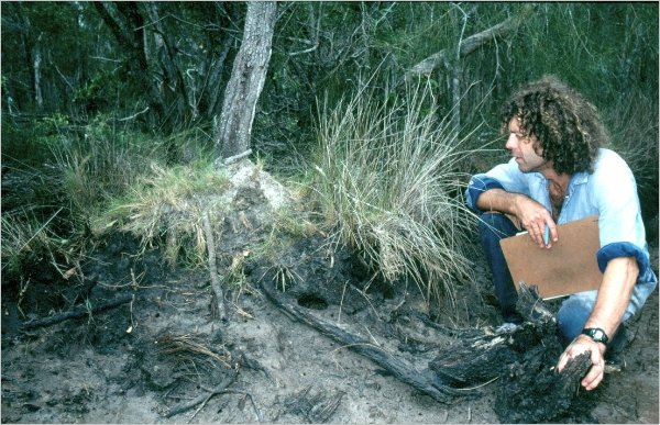 A man with a clipboard squats beside a mud bank that has vegetation on top.