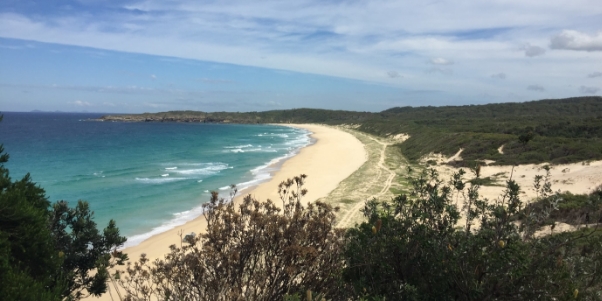 Photography showing a long sandy beach with blue waves and surrounded by green vegetation.