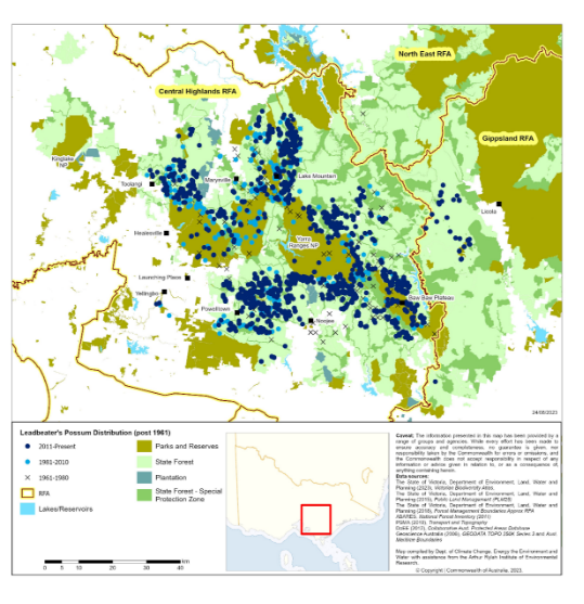 Map of the distribution of Leadbeater's possum since its rediscovery in the Central Highlands. 

The map shows a the majority of the recent records (2011 to present) are within the Central Highlands RFA. Some recent records are also in the Gippsland RFA.

More information can be found in Section 3.2 Distribution.
