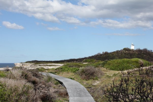 Photograph showing walking track platform winding across clifftop. A small white lighthouse tower can be seen in the distance surrounded by green vegetation.