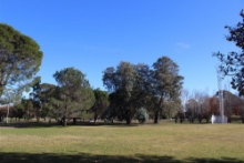 Lawns of the sculpture garden