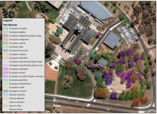 Photograph outlining the different vegetation on the memorials eastern precinct.