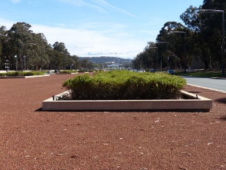 A picture containing ground, tree, outdoor, sky

Description automatically generated
