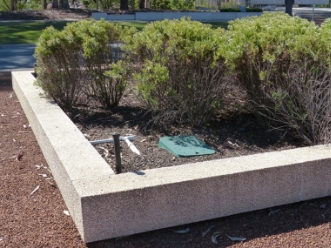 A bench in a garden

Description automatically generated