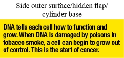 Side outer surface/hidden flap/cylinder base text reads the DNA tells each cell how to function and grow. When DNA is damaged by poisons in tobacco smoke, a cell can begin to grow out of control. This is the start of cancer.