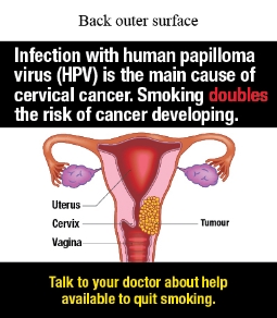 Back outer surface image shows a coloured diagram of female reproductive organs, including fallopian tubes, ovaries, uterus (womb), cervix, and vagina. There is a tumour shown within the cervix and vagina. Labels on uterus, cervix, vagina and tumour

Text reads Infection with human papilloma virus (HPV) is the main cause of cervical cancer. Smoking doubles the risk of cancer developing.
Talk to your doctor about help available to quit smoking.
