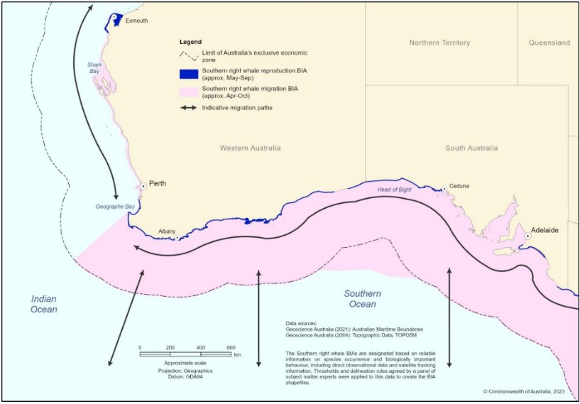 A zoomed in map showing Biologically Important Areas for southern right whale reproduction and migration, and habitat critical to the survival for the species, in western Australia.